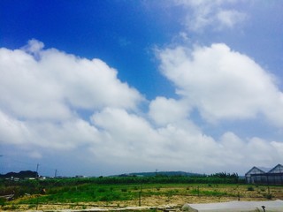 Fototapeta premium 梅雨明けの沖縄