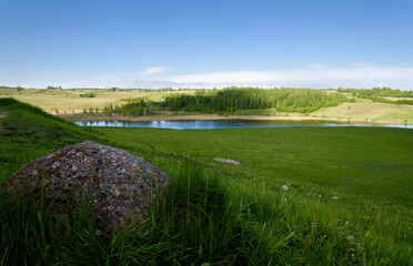 bend of road in the middle green hills
