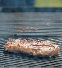 beef steaks on the grill