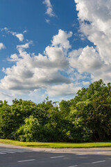 green park trees over blue sky. formal garden
