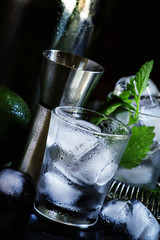 Set of bar tools and ingredients for making cocktails, dark back