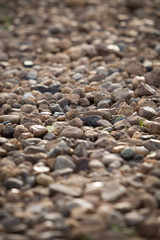 Stone pattern.