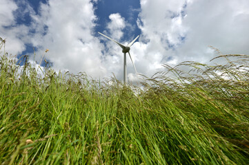Wind turbine