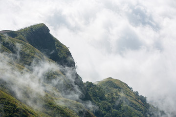 Fototapeta na wymiar Rainforest mountain range with morning mist