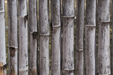 Bamboo  fence background - obrazy, fototapety, plakaty