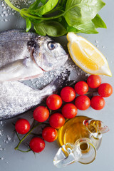 Delicious fresh fish on grey  background. Fish with aromatic her