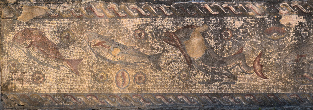 Antique Roman mosaic with sea life motifs located at the archaeological site of Milreu, in Estoi, Algarve, Portugal