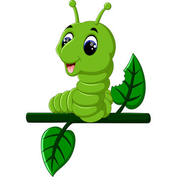 Funny caterpillar runs on a tree branch
