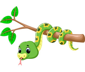 Obraz premium Cute green snake cartoon 