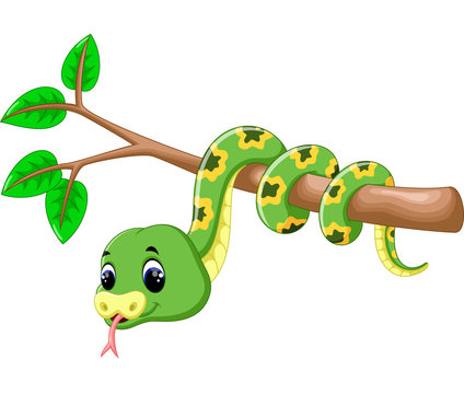 Cute green snake cartoon 