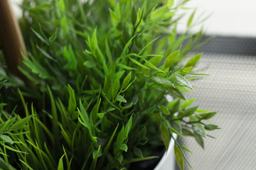 Plastic Plant decor in the restaurant