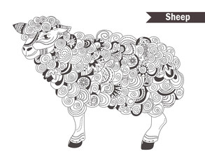 Sheep. coloring book