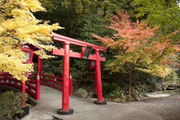 Fototapeta na wymiar Japanese Garden in Beppu
