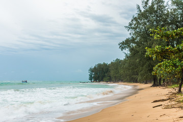Naklejka premium Forest besides a beach on rainy day in Phuket, Thailand.