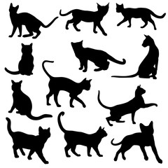 set of cats silhouettes