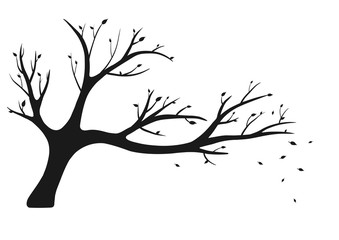 Tree silhouettes with leaf