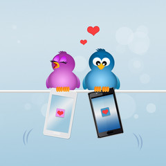 cute birds with smartphones