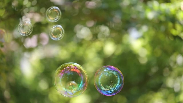 Large soap bubbles floating