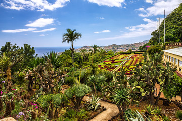 Fototapeta na wymiar Madeira, Botanical Garden Monte, Funchal, Portugal