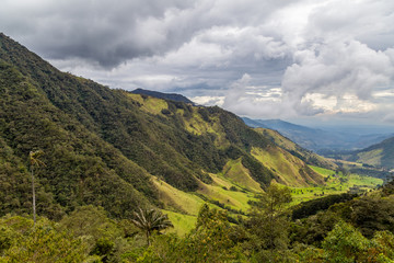 Palmiers géants de Colombie . Salento et la région du café. 