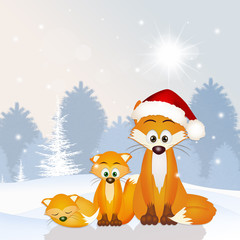 red fox family at Christmas hat