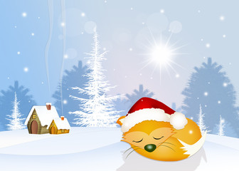 red fox sleeps in winter