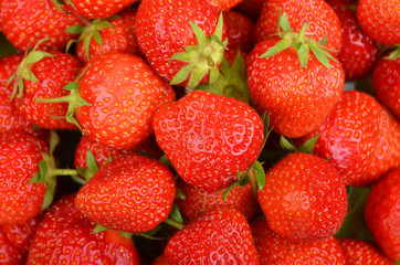 Strawberry, close up