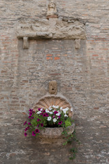 Bouquet of colorful flowers in a garden Italy