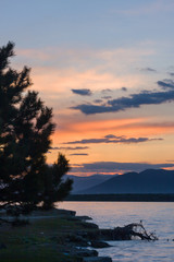 Silhouette of the pine-tree in the coast of the Lake of Sevan in