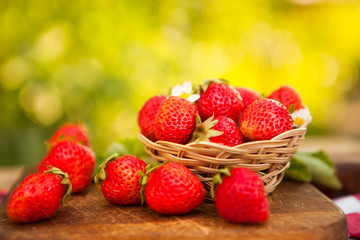 Ripe strawberries in saucer on wooden table on natural green blu