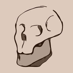 Hand Drawn cartoon Skull. Illustration