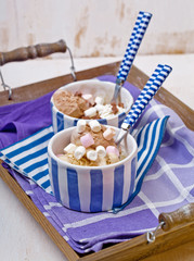 Homemade vanilla and chocolate ice cream with marshmallow, serve