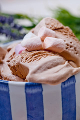 Homemade vanilla and chocolate ice cream with marshmallow, serve