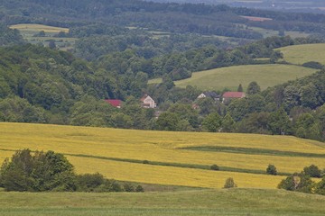 Fototapeta na wymiar Spring landscape with yellow rape field