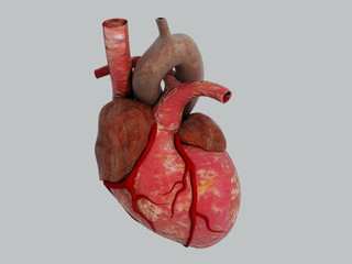 3D Human Heart - Anatomy of Human Heart