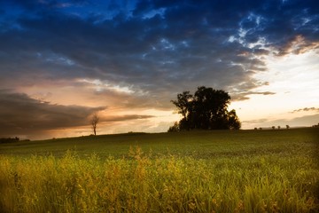 Obraz premium Dramatic sunset