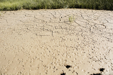 Fototapeta na wymiar dry cracked earth