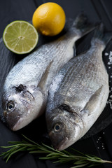 Closeup of raw fresh dorado fish ready to be cooked, studio shot