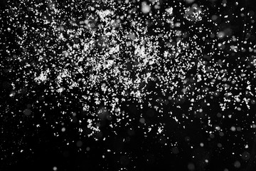Snow flakes on dark background
