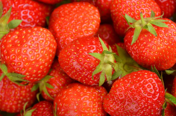 Strawberry, close up