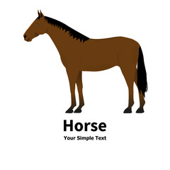 Vector illustration of a pet horse