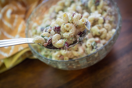 Macaroni Salad Server