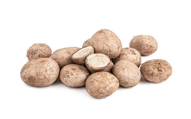 puffball mushroom isolated on white background