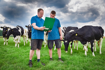 Milchmarkt mit dunklen Wolken, Landwirt mit Sohn vor Milchvieh-Kühen