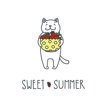 Sweet summer. Doodle vector illustration of funny white cat holding strawberries