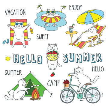 Hello summer. Doodle vector illustration of funny white cat enjoing the summer