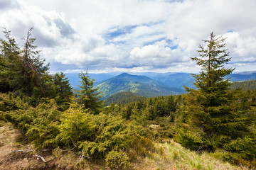 Carpathian mountains