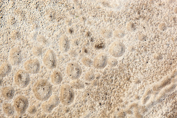 Sand surface after the rain