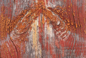Wood texture with natural pattern. Old paint