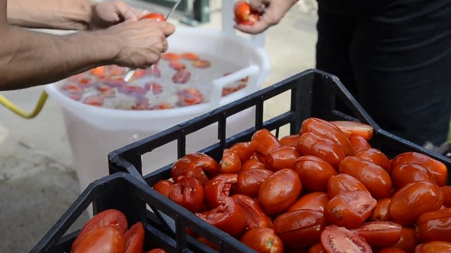Pummarola 'e San Marzano